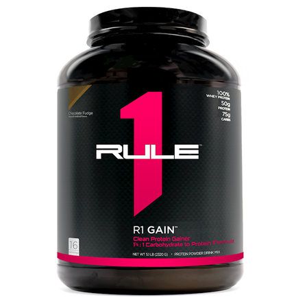 Rule 1 Gain (2310 г)			
