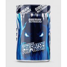 Siberian Nutrogunz PRE-TRAIN NOOTROPIC (225 г)